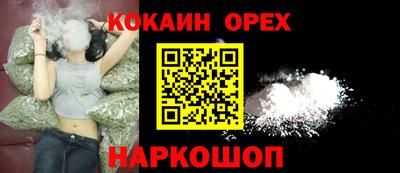 СК Новодвинск