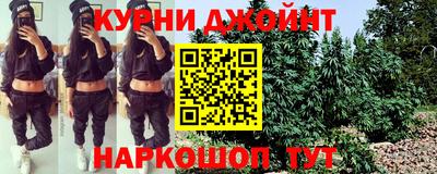 СК Новодвинск
