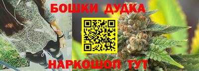 СК Новодвинск