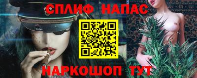 СК Новодвинск