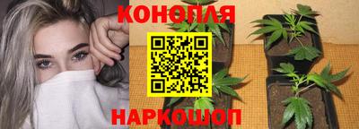 каннабис Новозыбков
