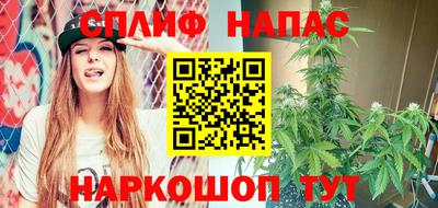 СК Новодвинск