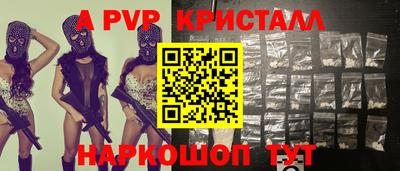 СК Новодвинск