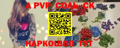 СК Новодвинск