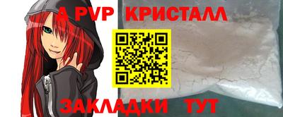 СК Новодвинск