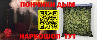 СК Новодвинск