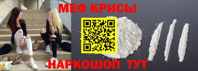 СК Новодвинск