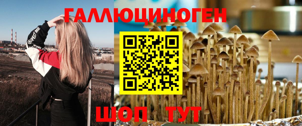 Галлюциногенные грибы мицелий Тулун