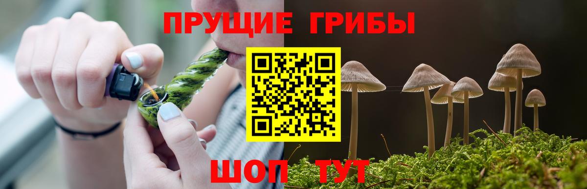 купить   Псилоцибиновые грибы Psilocybine cubensis  Псилоцибиновые грибы ЛСД  Вход с VPN  Тулун 